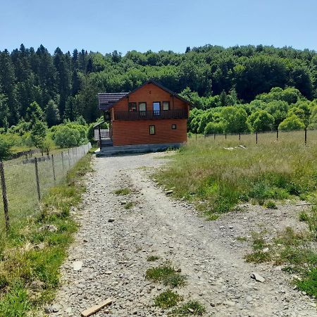 Вилла Casa Lucretiu Paltinoasa Экстерьер фото